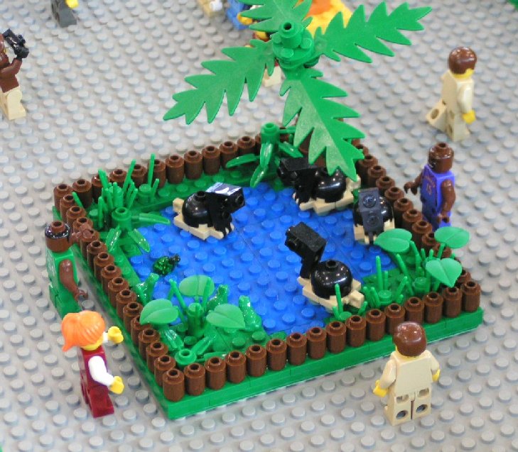 turtlepond.jpg