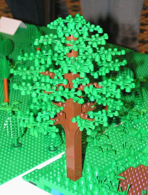 big_tree1.jpg