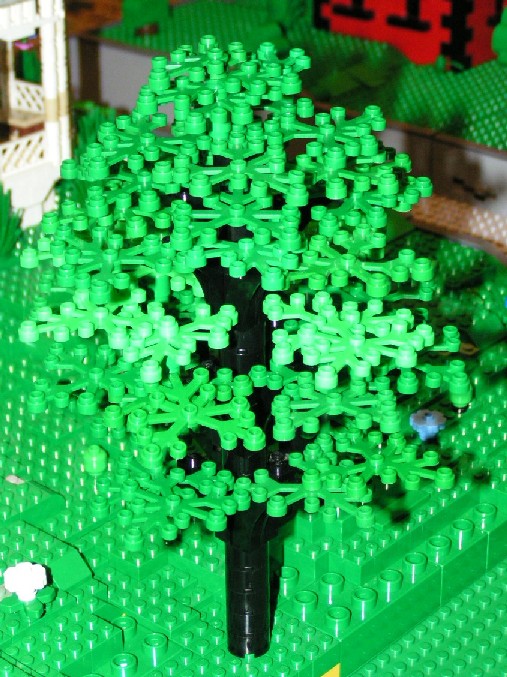 big_tree2.jpg