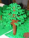 big_tree1.jpg