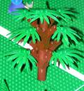 big_tree3.jpg