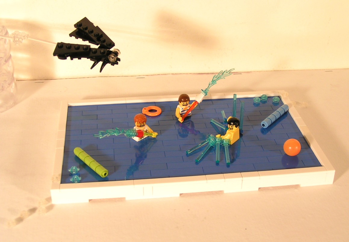 a_fly_at_the_pool_party.jpg