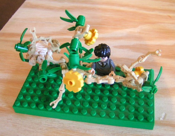 devils_snare_by_steve.jpg
