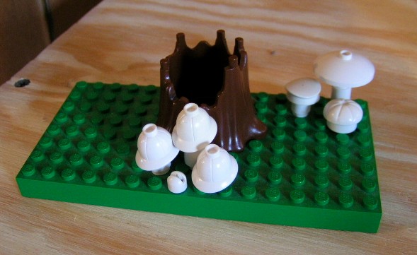mushrooms_by_steve.jpg