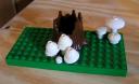 mushrooms_by_steve.jpg