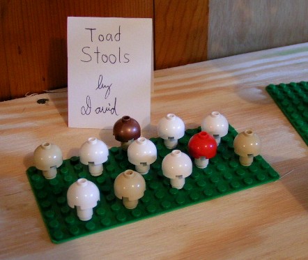 toad_stools_by_david.jpg