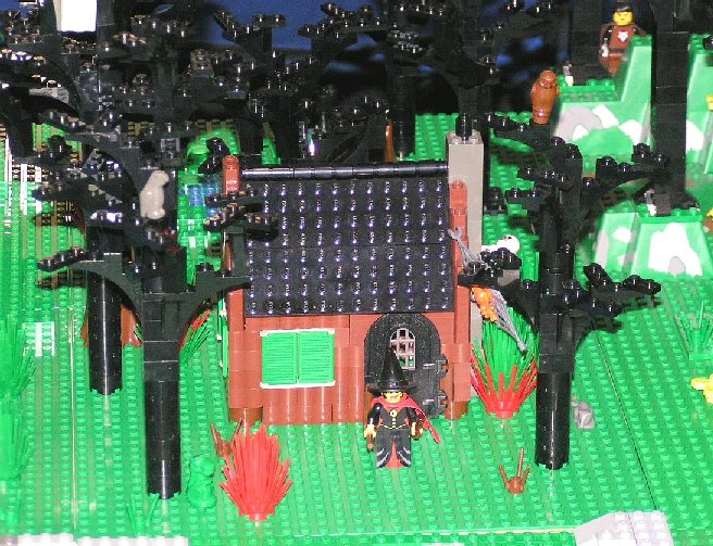 witch_house.jpg