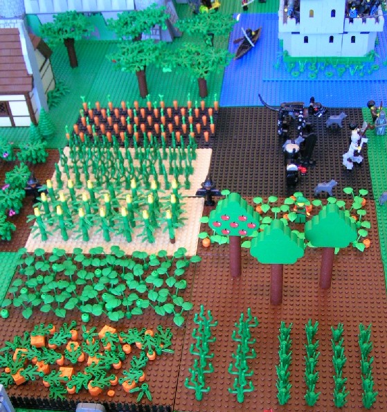 crops1.jpg