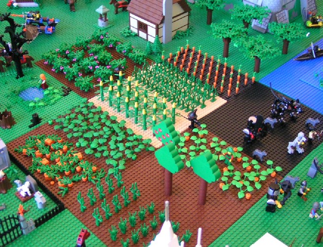 crops2.jpg