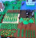 crops1.jpg