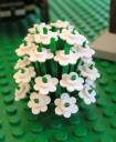 flowery_bush.jpg