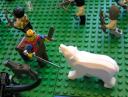 narnia_battle_-_centaur_vs_polar_bear.jpg