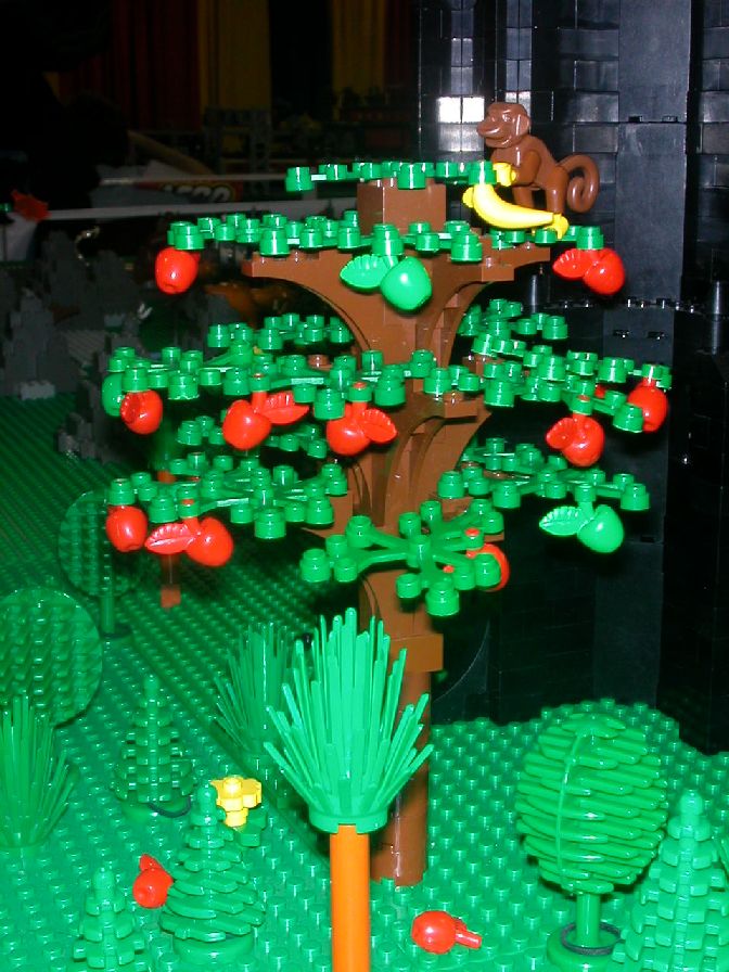 appletree.jpg