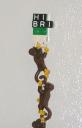 chain_of_monkeys2.jpg