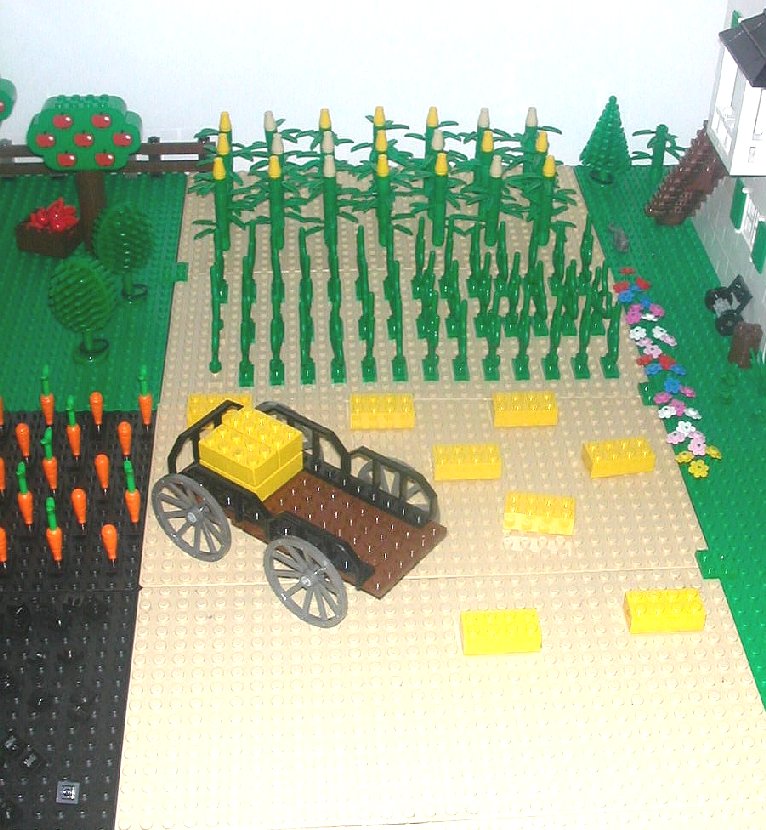 crops3.jpg