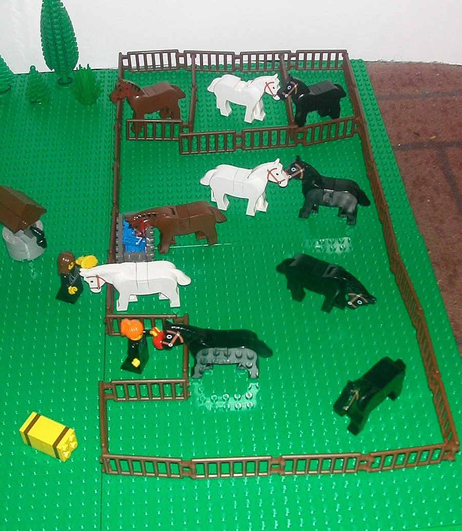 horses-pasture.jpg