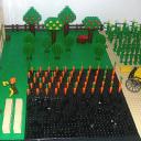 crops1.jpg