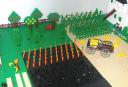 crops2.jpg