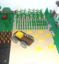 crops3.jpg