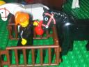 horses-feedapple.jpg
