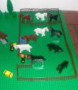 horses-pasture.jpg