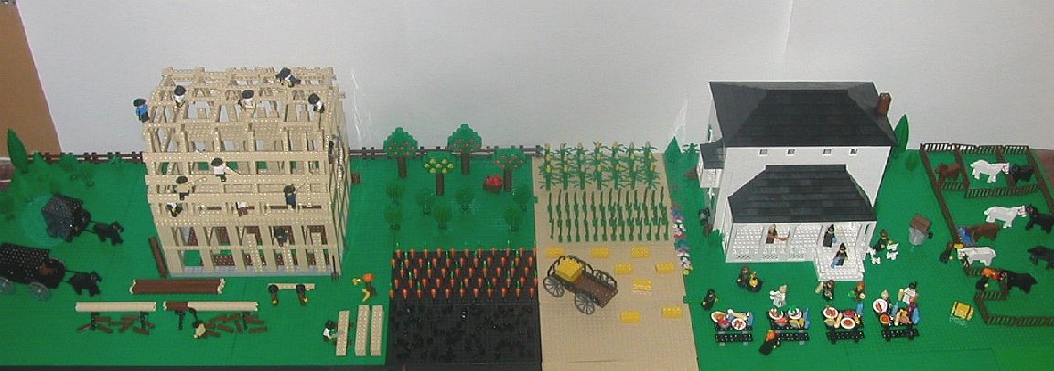 wholefarm3.jpg