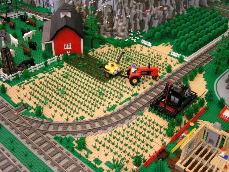 field.jpg