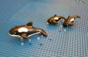 killer_whales.jpg