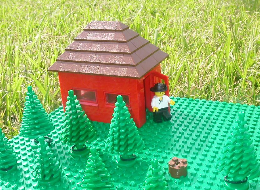 shack.jpg