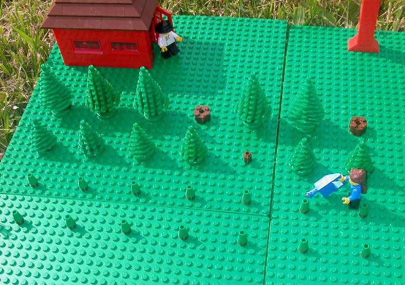 trees.jpg