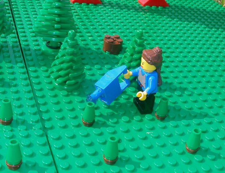 wateringbabytrees.jpg