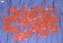 pile_of_pitchforks.jpg