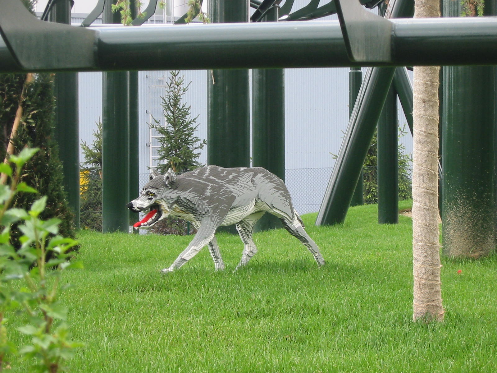 img_2041.jpg