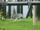 img_2041.jpg