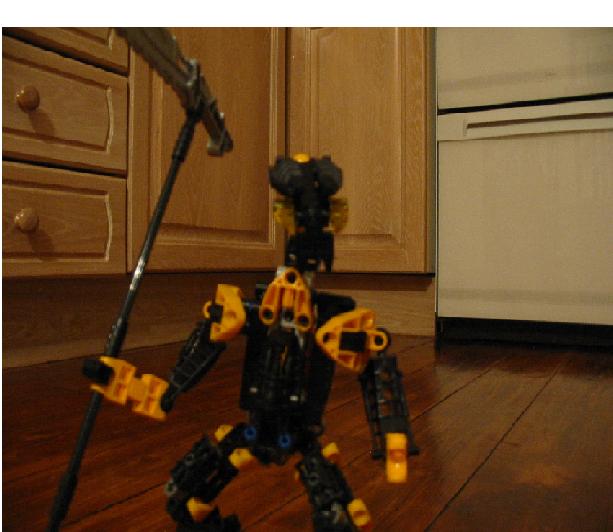 img1.jpg