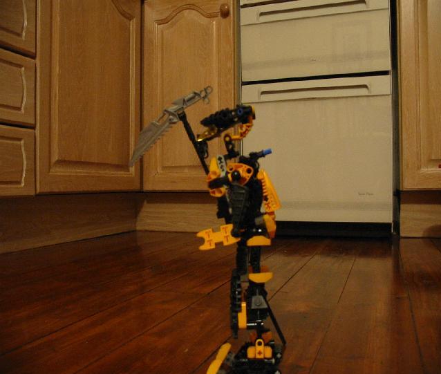 img3.jpg