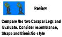 carapar-leg.png