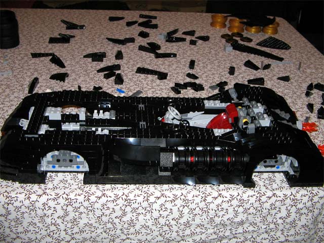 bat_18.jpg