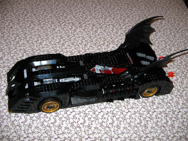 bat_19.jpg