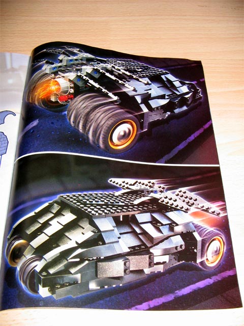 bat_6.jpg