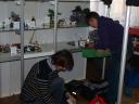 waw2010_07.jpg