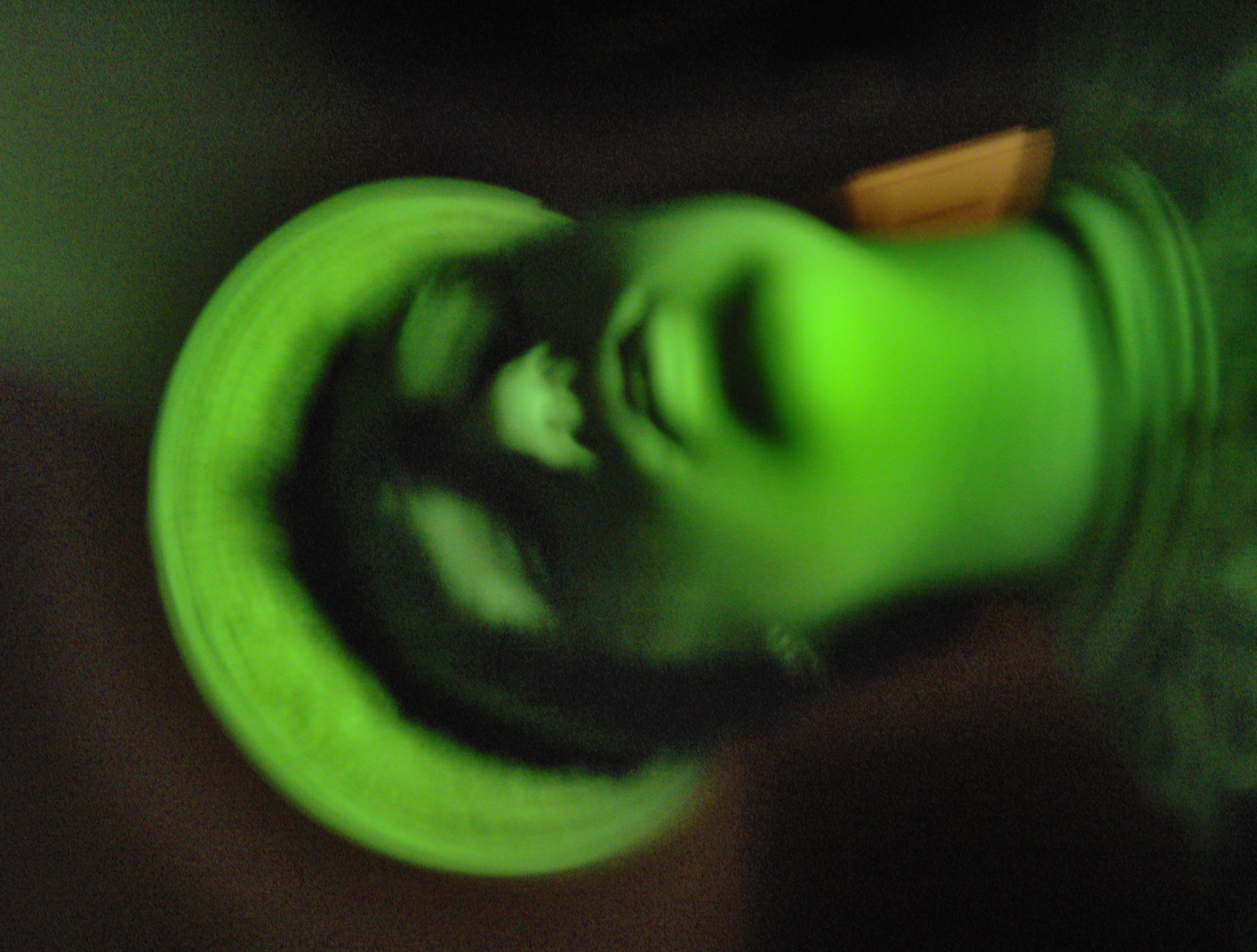 hpim0603.jpg