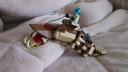 sand_snake_002.jpg