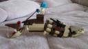 sand_snake_003.jpg