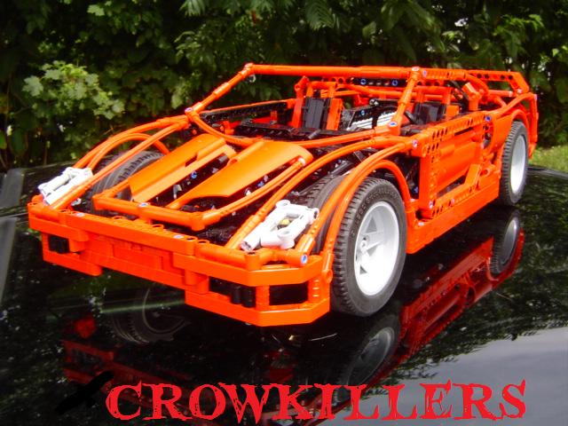 crow801.jpg