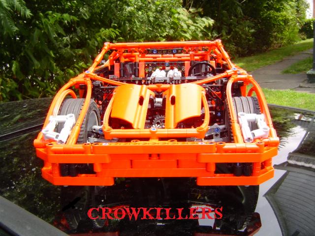 crow805.jpg