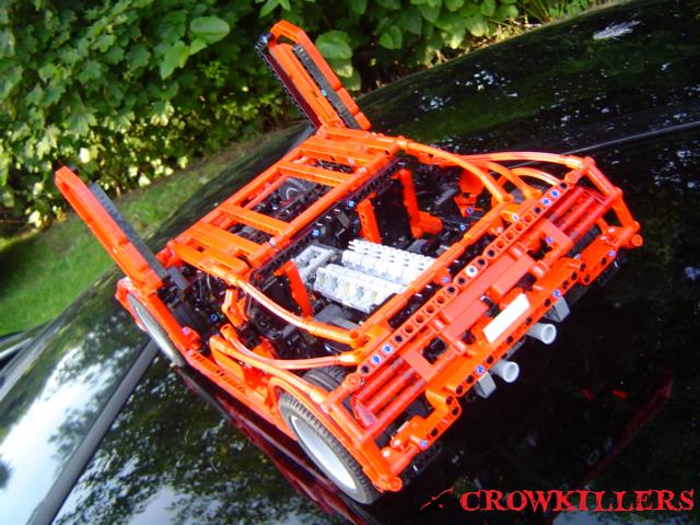 crow901.jpg