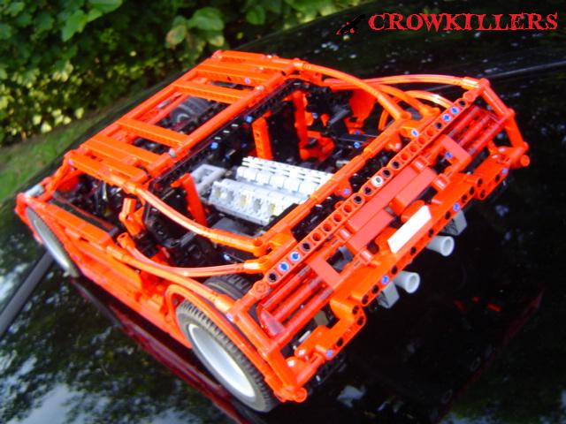 crow902.jpg