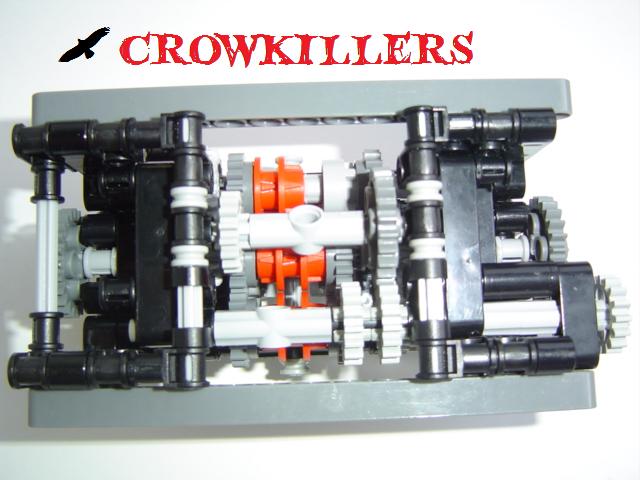 crow972.jpg