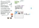 spritesheet.png